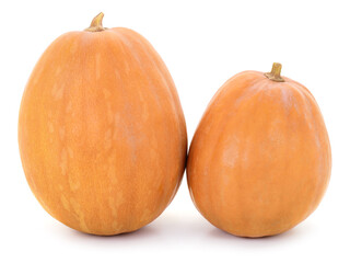 Two orange pumpkins isolated on white background
