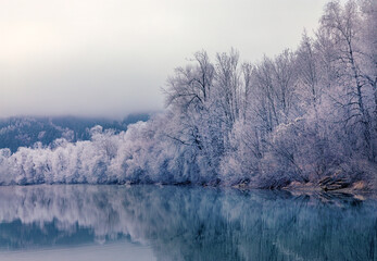 Ortwanger Baggersee - Raureif - Eis - Allg&auml;u - Sonthofen - Winter