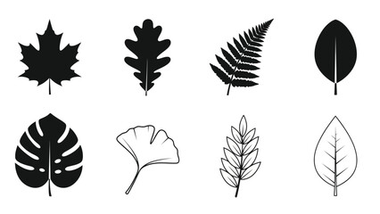 A collection of various leaf silhouettes in a simple black and white design