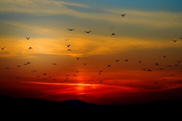 Obraz premium sunset over the sea