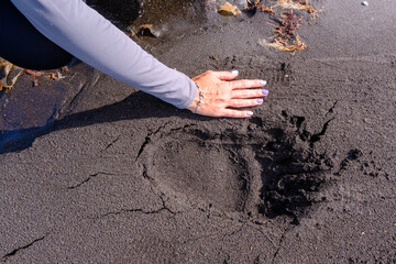 Exploring the sandy shores of Russia as footprints tell a story