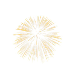 Fire work Golden Doodle, Celebration, Party Icon, Anniversary, New Year Event.
