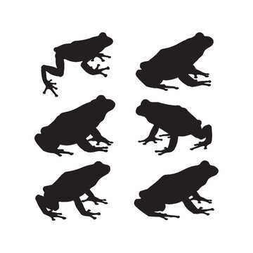 Frog Silhouettes Collection