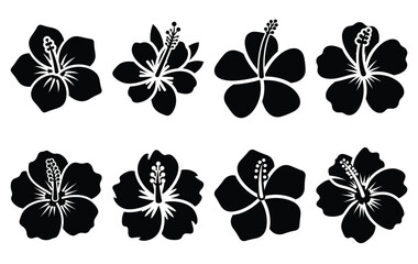 Silhouette of tropical flower vector icon set collection. summer icons concept isolated on white, vector illustration