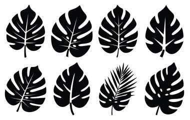 Silhouette of tropical leaf vector icon set collection. summer icons concept isolated on white, vector illustration