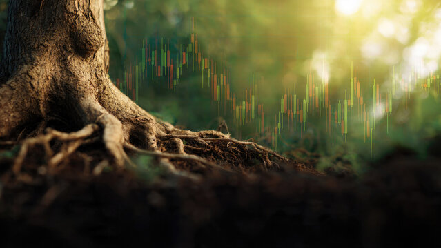Green Investment, Tree with Stock Market Chart