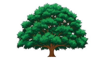 Large green tree with lush foliage on white background