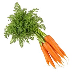 Fresh Bunch of Carrots with Green Tops on White Background