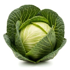 Whole Cabbage with Green Outer Leaves on White Background