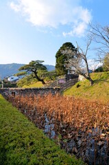 安芸城跡 追手門跡