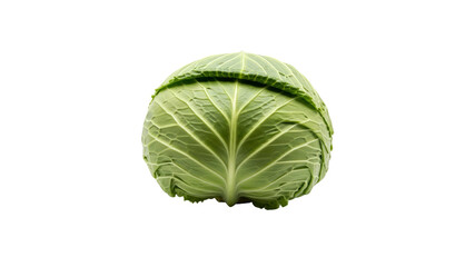 Fototapeta premium Fresh Cabbage on Transparent Background