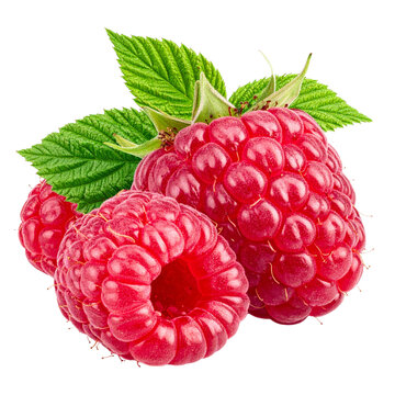 frambuesa
