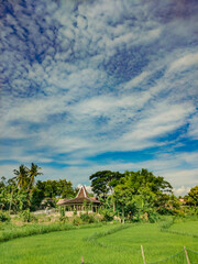 Terraced rice fields and traditional Joglo houses as Javanese cultural heritage with a blue sky background in the Gunung Kidul mountains, Yogyakarta region, Indonesia.	
