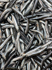 Fresh anchovies pile on market for sale