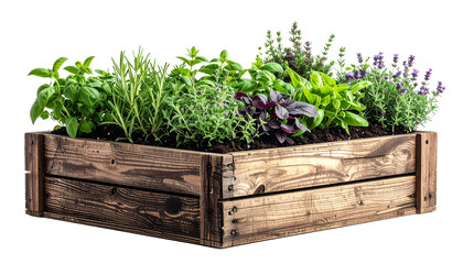 Herbal plants in rustic wooden box isolated on a transparent background.