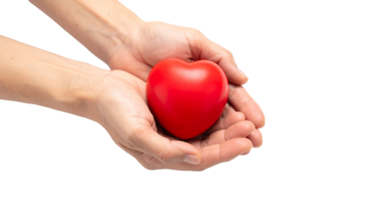 Red heart in woman hand isolated on a transparent background.