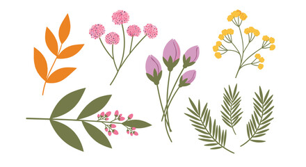 Obraz premium Set of delicate flower sprigs and leaves in various colors including pink, yellow, orange, and green in a collection.