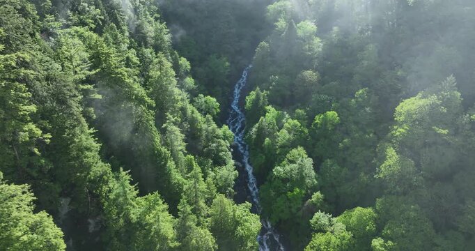Aerial footage of beautiful forest and river flowing in the mountains 