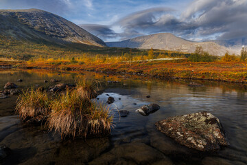 Autumn Wetland Scene With Colorful Shrubs, Calm River, and Misty Mountain Backdrop