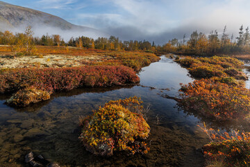 Autumn Wetland Scene With Colorful Shrubs, Calm River, and Misty Mountain Backdrop