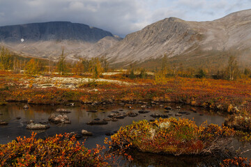 Autumn Mountain Landscape With Lake, Golden Foliage, And Calm Sky Above Rolling Hills