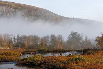Autumn Mist Over Mountain Valley With Foggy Trees And Calm Stream