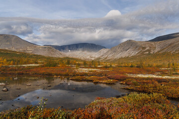 Autumn Mist Over Mountain Valley With Foggy Trees And Calm Stream