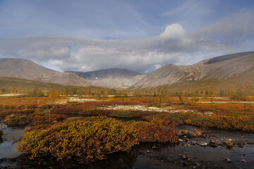 Autumn Mist Over Mountain Valley With Foggy Trees And Calm Stream