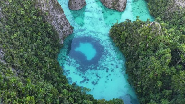 Rock islands, composed of ancient, uplifted reefs, rise from the seascape in Misool, Indonesia. This region harbors spectacular marine biodiversity and is a popular diving destination.