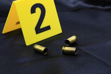 Bullet shell casings found on the crime scene