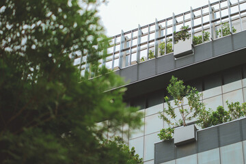 Close-up of green tree with modern building in background &ndash; eco-friendly, sustainable architecture, green design and carbon dioxide reduction concept for urban environment