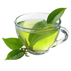 A glass cup of green tea with fresh leaves isolated on transparent background
