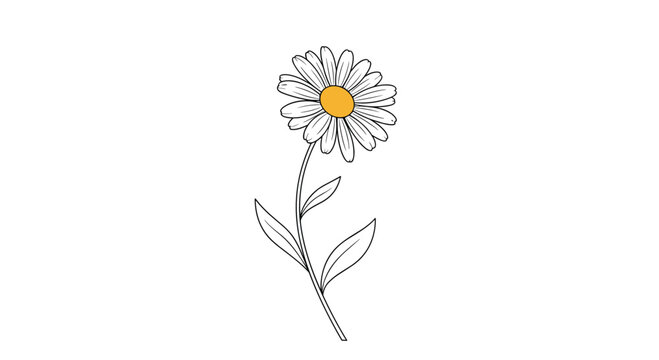 Simple and elegant hand-drawn illustration of a single blooming daisy flower with a long stem and leaves isolated on a white background.