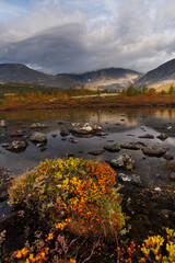 Autumn Wetland Scene With Colorful Shrubs, Calm River, and Misty Mountain Backdrop