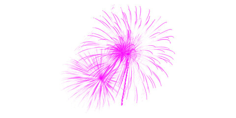 Vibrant purple fireworks burst in the dark night sky a spectacular dazzling display for joyous celebrations festive