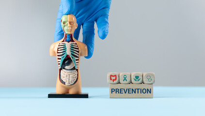 A doctor's hand places wooden cubes with the colon icon next to an anatomical model. Colon health concept. Colorectal cancer prevention, early detection. Medical awareness and preventative care.