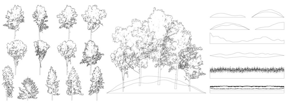 Contours of beautiful spruce trees, birch, grass, hill. Creation of  beautiful park, forest, landscape, woodland, collection of element. Vector illustration.