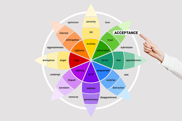 Emotion of acceptance on the wheel of emotions. Female hand points to the word acceptance. Human psychology.
