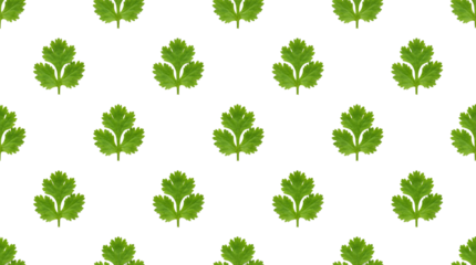 Green Cilantro Leaves Seamless Pattern isolated PNG with Transparent Background