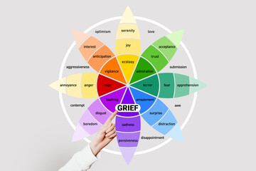 Emotion grief. Wheel of emotions. human psychology.