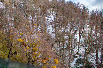 Cerro Catedral San Carlos de Bariloche Patagonia Argentina