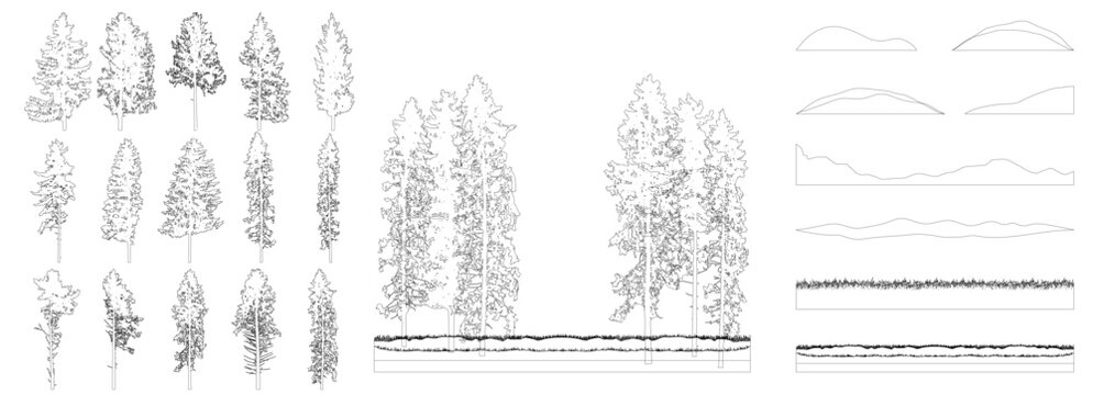 Creation of realistic forest, set of contours of beautiful spruce and pines trees. Vector illustration.