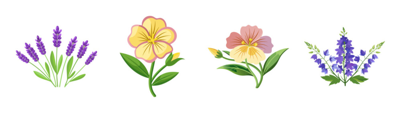 Beautiful lavender flowers pansy flower and delphinium flower vector illustration design element