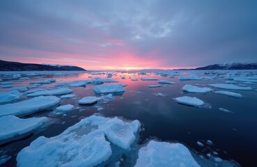 Icebergs float in calm sea under pink sky at sunset. Arctic ocean landscape with frozen water and distant mountains. Beautiful polar nature scene.
