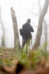 Waldgefl&uuml;ster im Nebel &ndash; Ankenballen