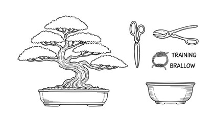Bonsai care essentials: line art of tree, pruning tools, and pot for gardening