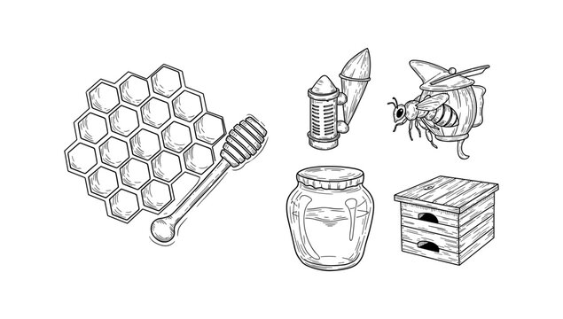 Hand drawn honey elements set with bee, honeycomb, jar, and beekeeping tools