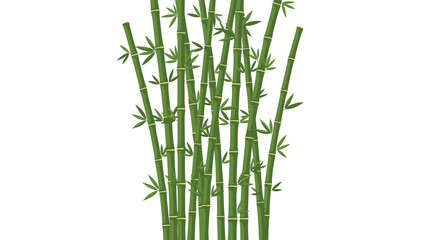 Obraz premium Dense cluster of vibrant green bamboo stalks with delicate leaves, symbolizing tranquility, strength, nature, and growth in an oriental setting.