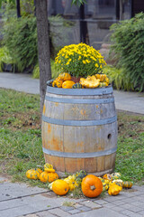 Oak Wine Barrel With Yellow Flowers Gourds Squash and Pumpkins Halloween Decoration in Garden Autumn Day