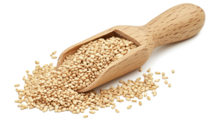 A wooden spoon is filled with white sesame seeds